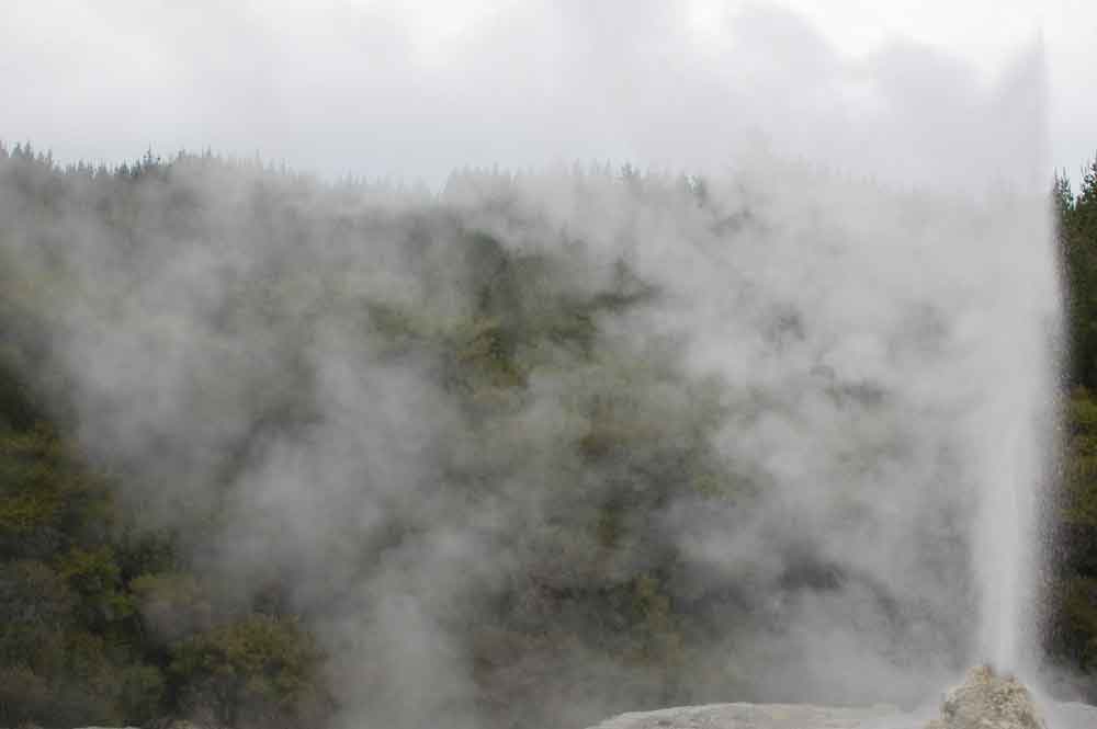 47 - Nueva Zelanda - Rotorua, Wai-o-tapu, geiser Lady Knox